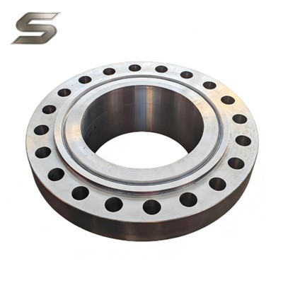 Kovana prirubnica od nehrđajućeg čelika